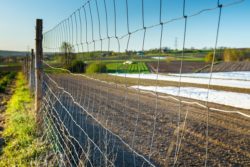Agricultural Fencing: Property Line and Fence Laws in Tennessee